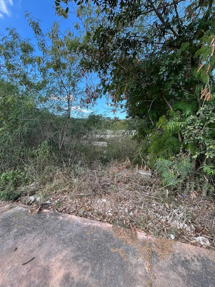 Terreno Spot2