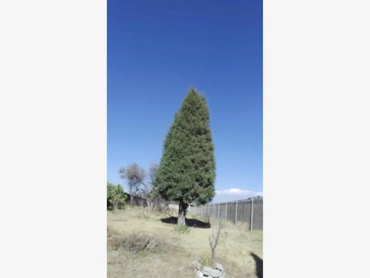 Terreno Spot2
