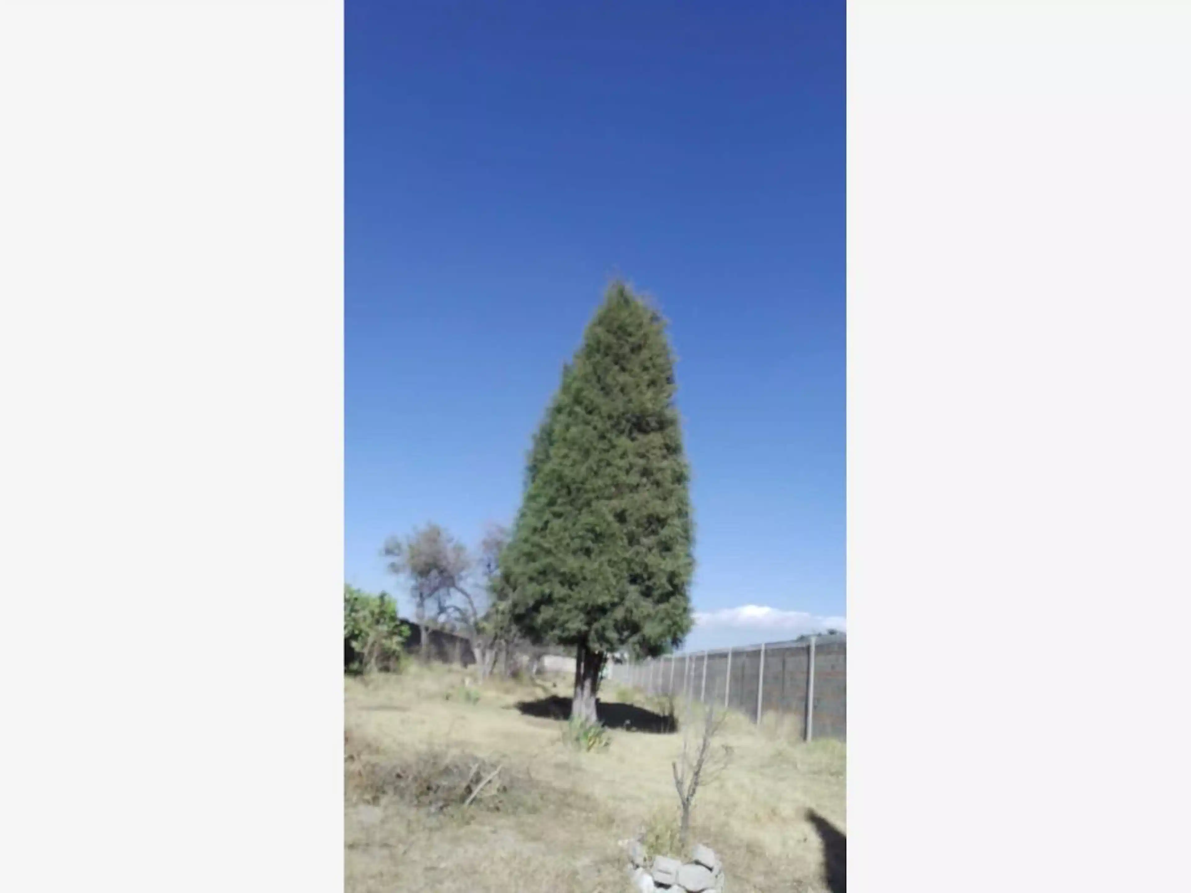 Terreno En Renta En San Juan, Puebla, Puebla