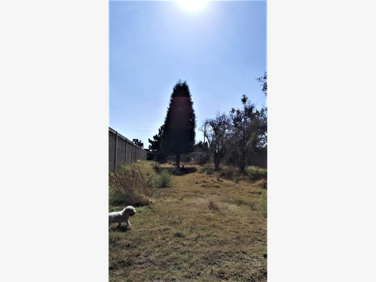 Terreno Spot2