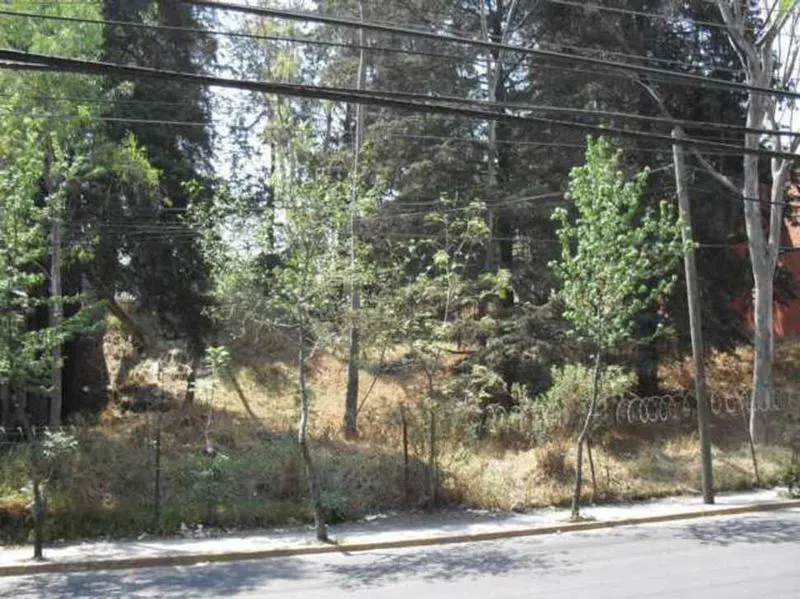 Terreno Spot2