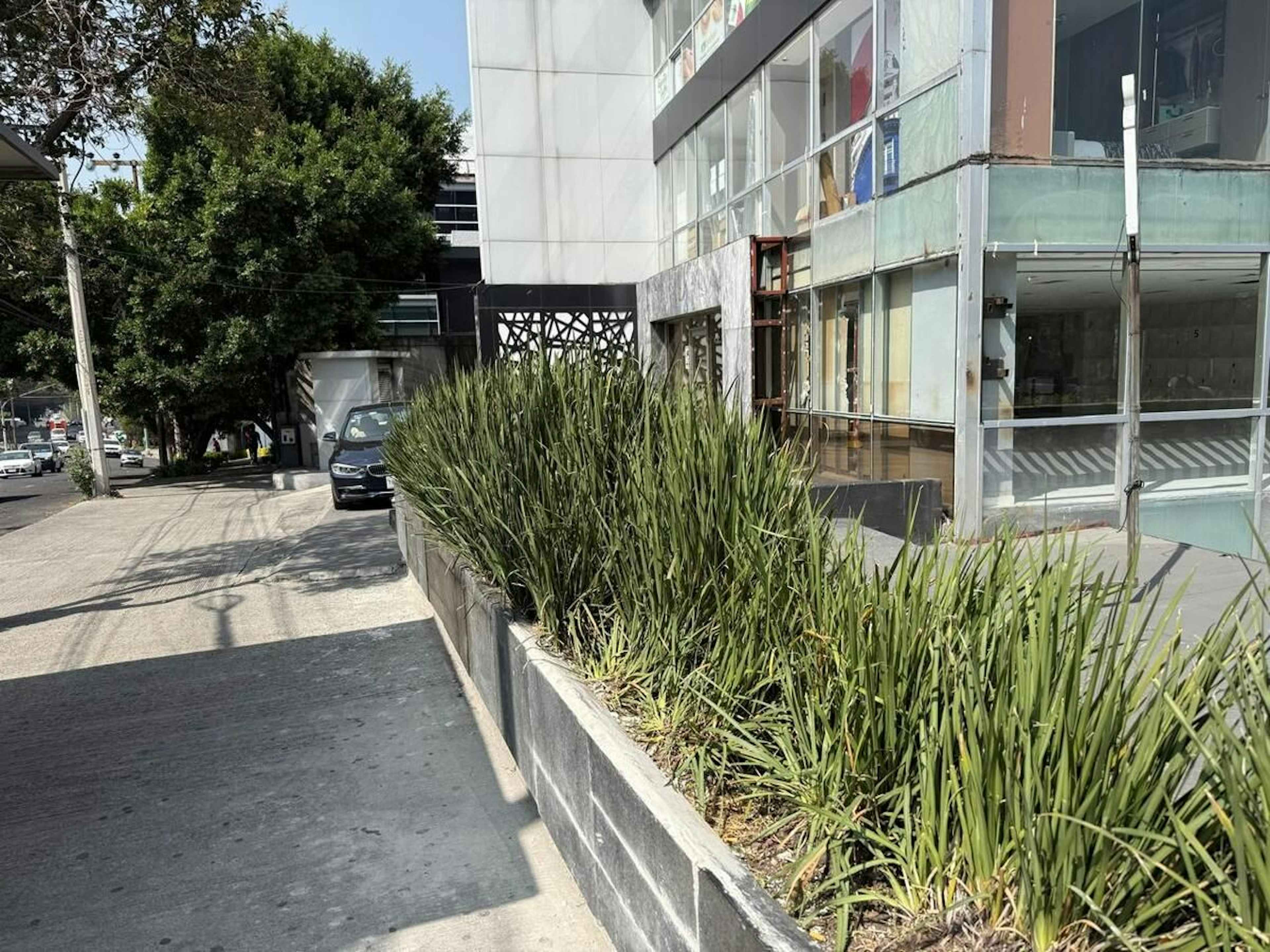 Avenida Paseo De Las Palmas 1065