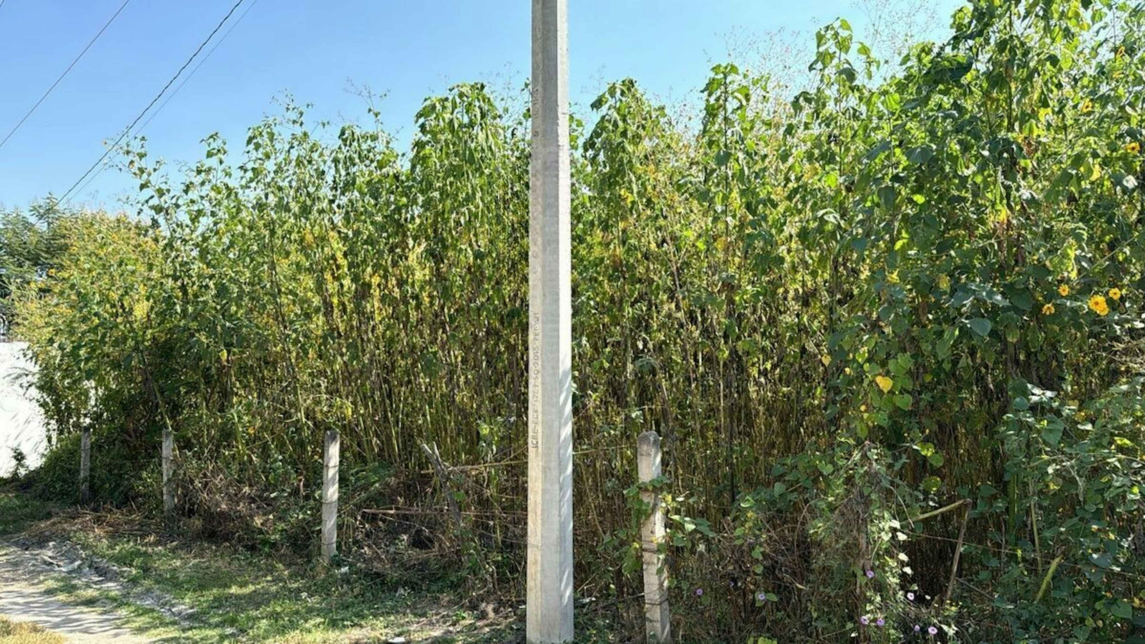 Entrada Chiverías - Entrada El Abanico 9