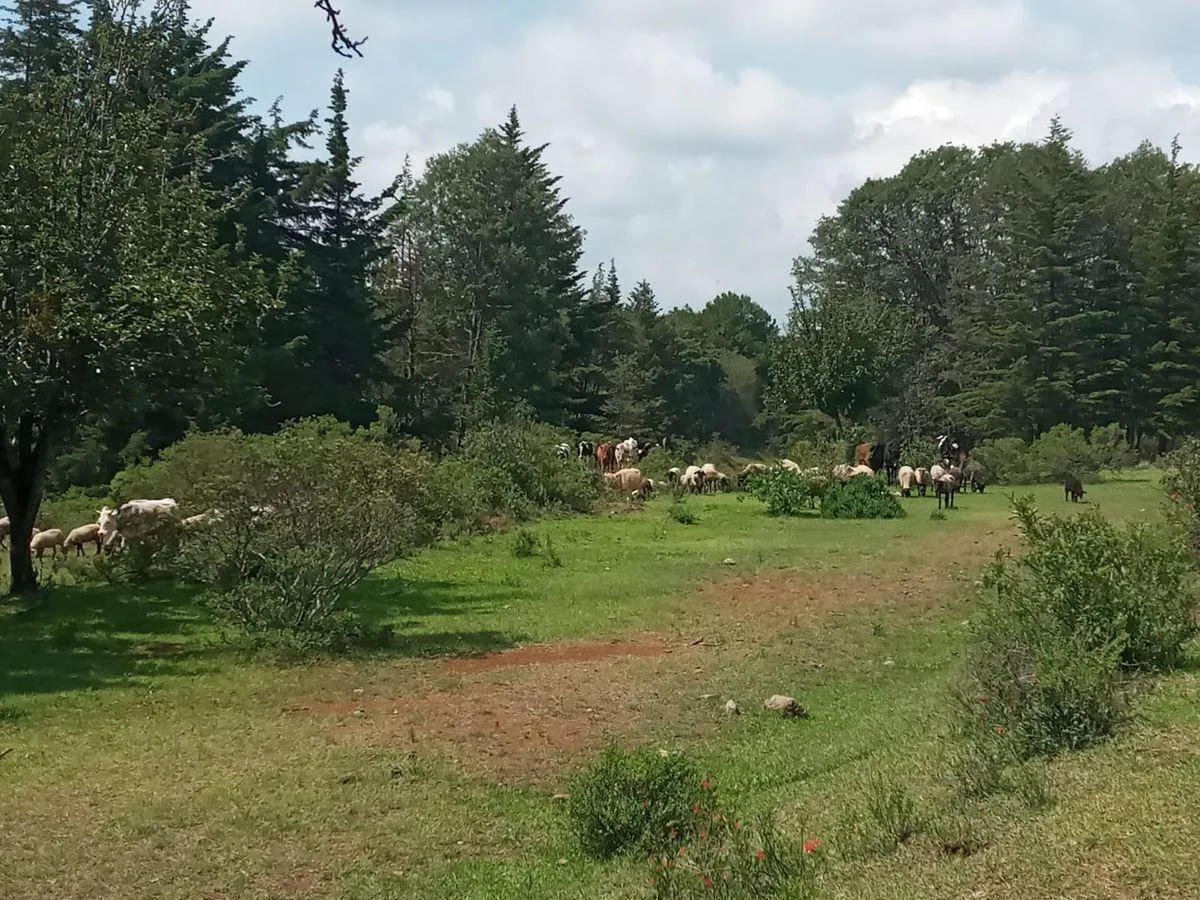 Terreno Spot2