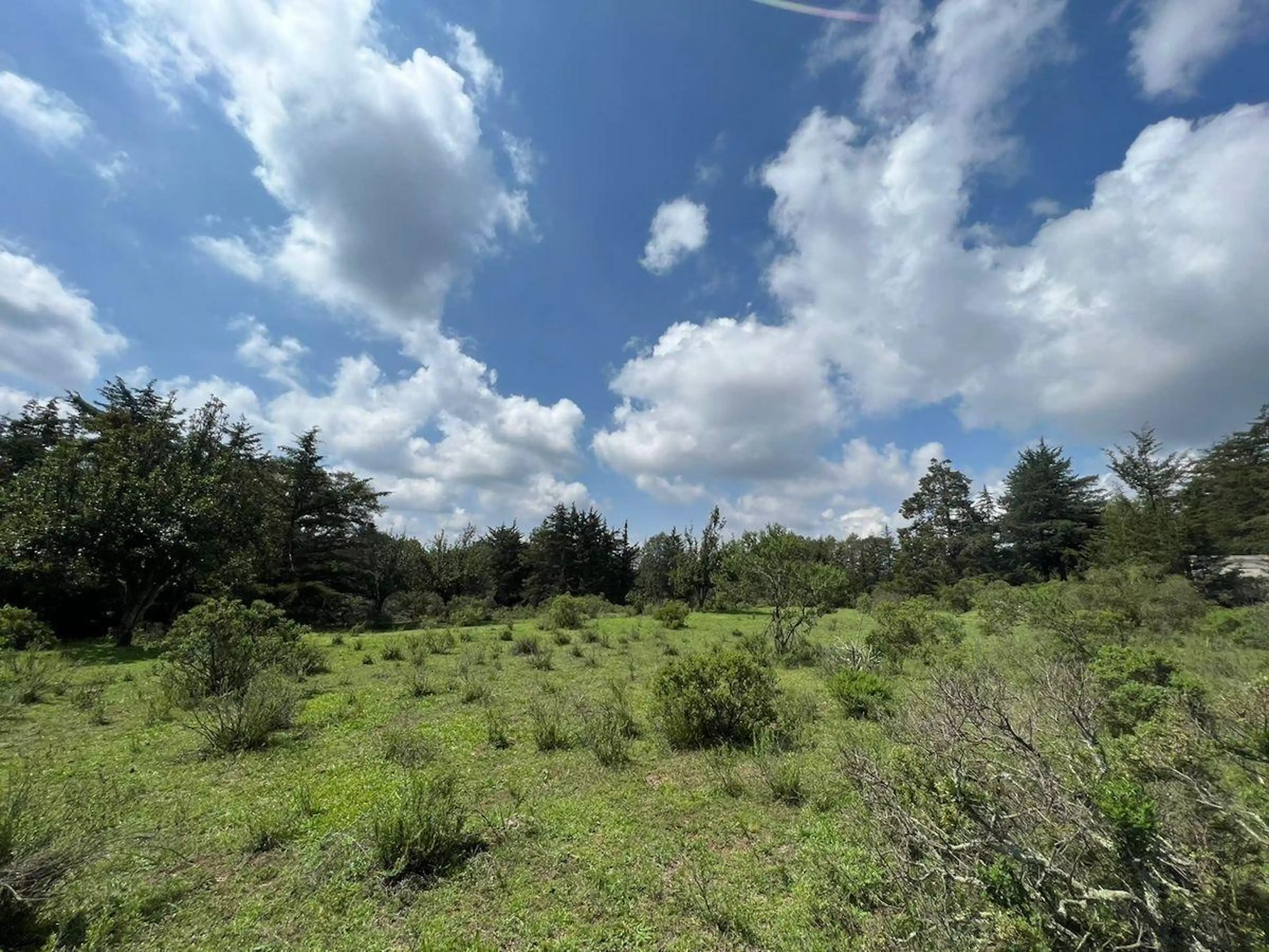 EXTENSO TERRENO CON BOSQUE