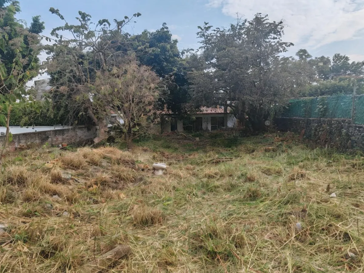 Terreno Spot2