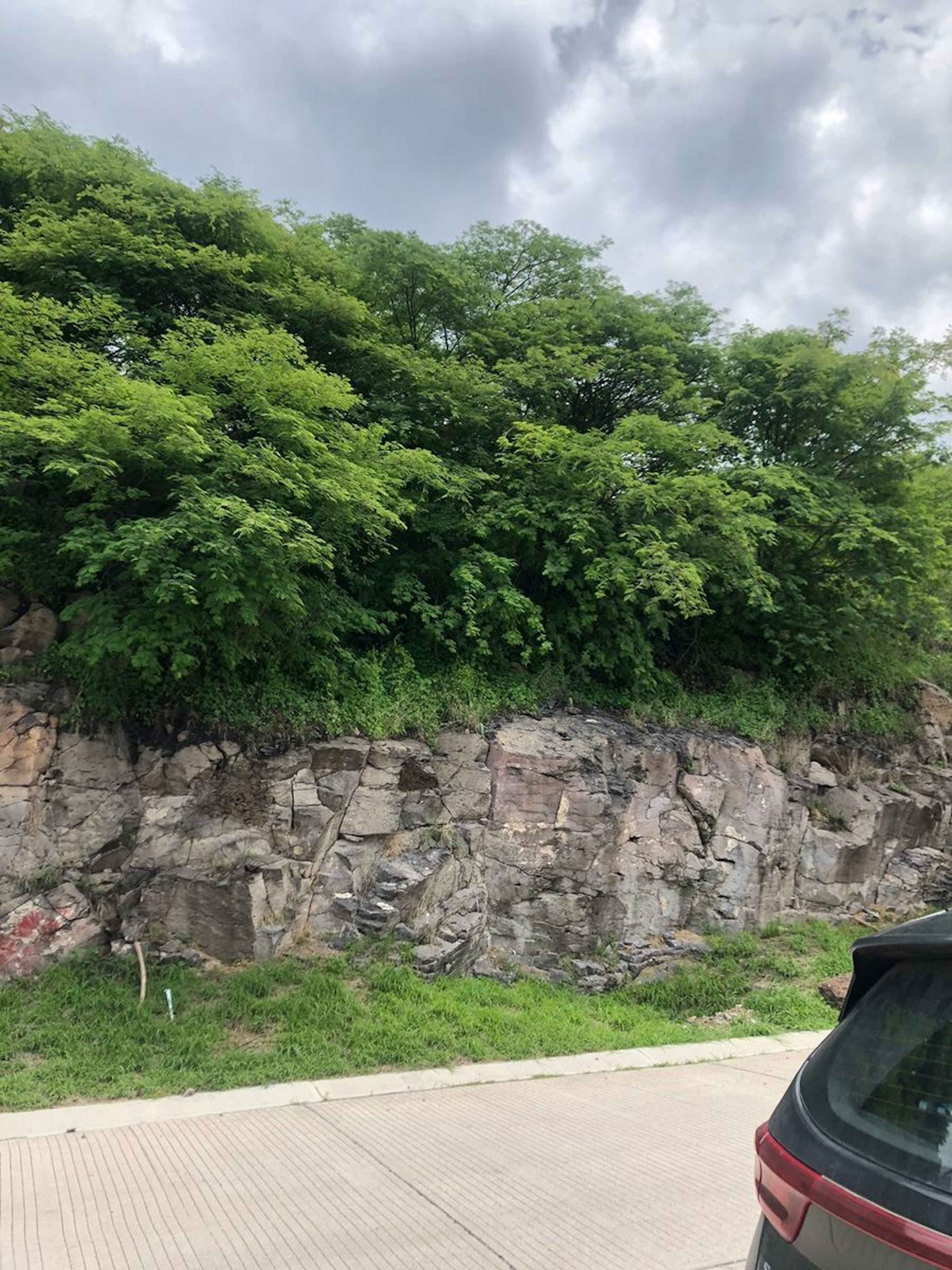 Cascada De Chimalapa L75