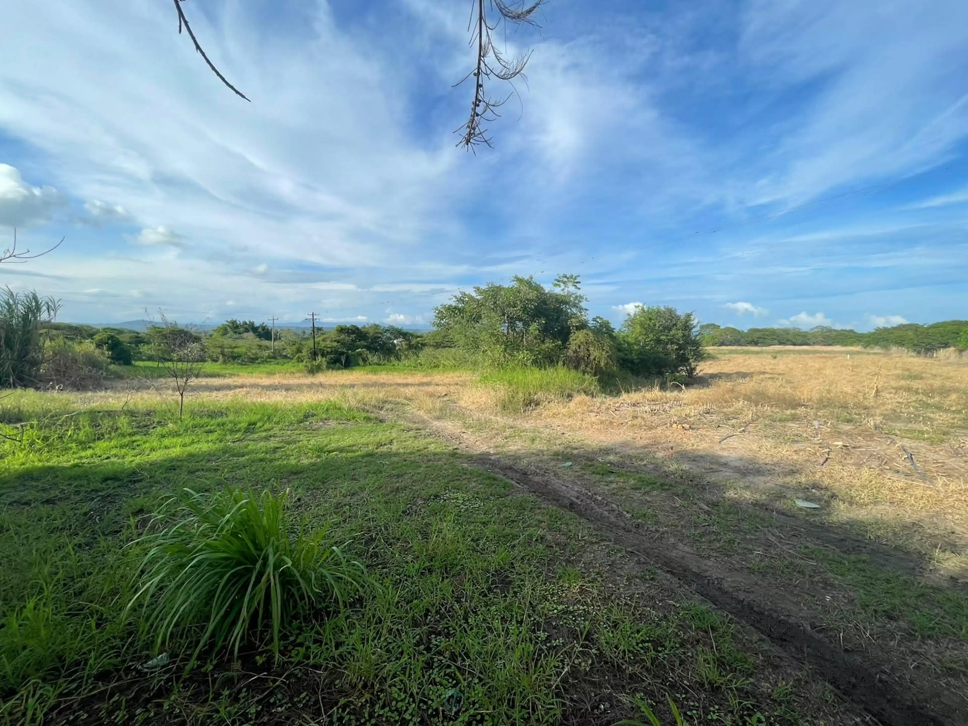 TERRENO EN VENTA SOBRE CARRETERA FEDERAL XALAPA - VERACRUZ, ZONA MIRADORES, EMILIANO ZAPATA VERACRUZ