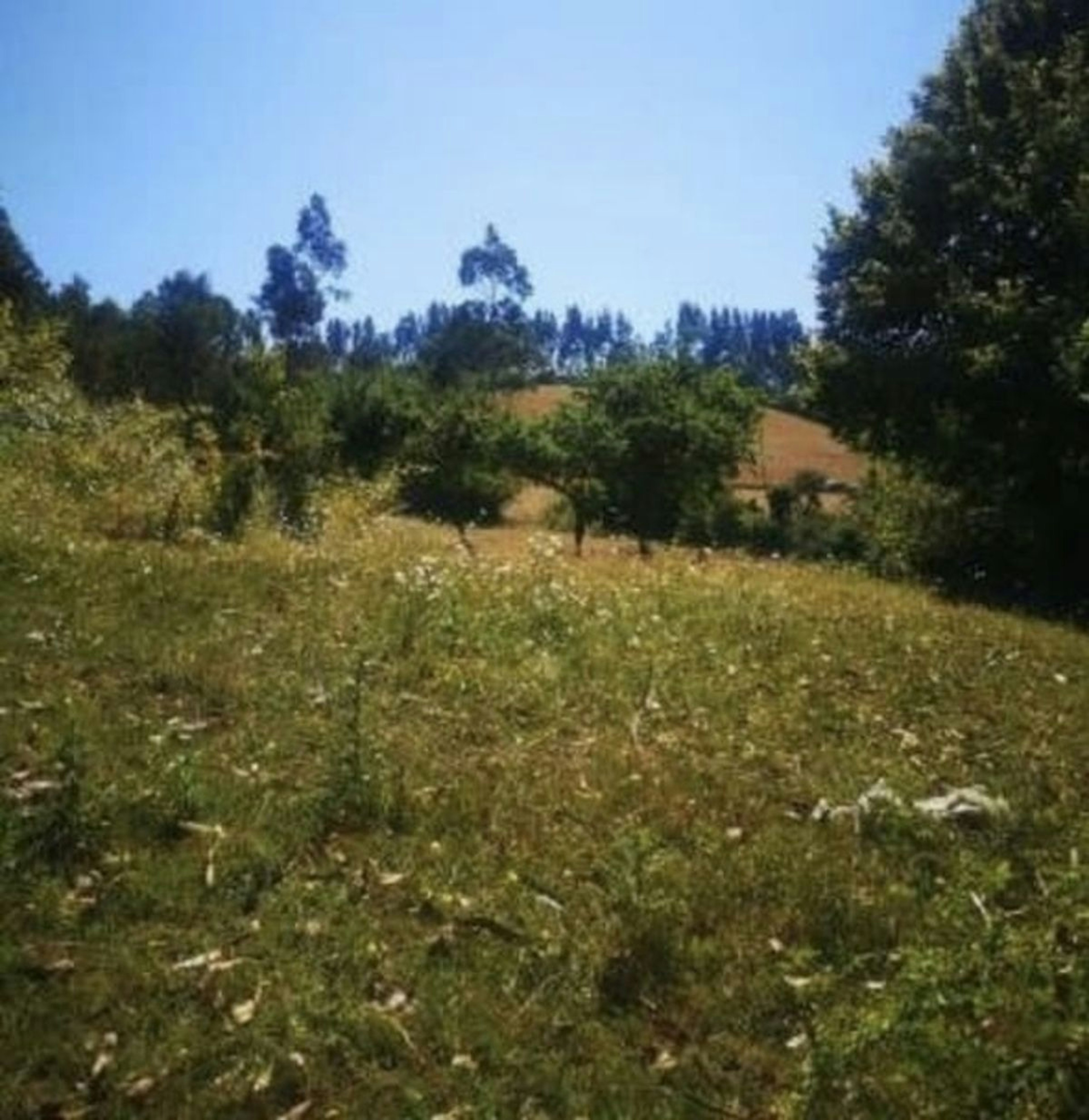 Spot image 0