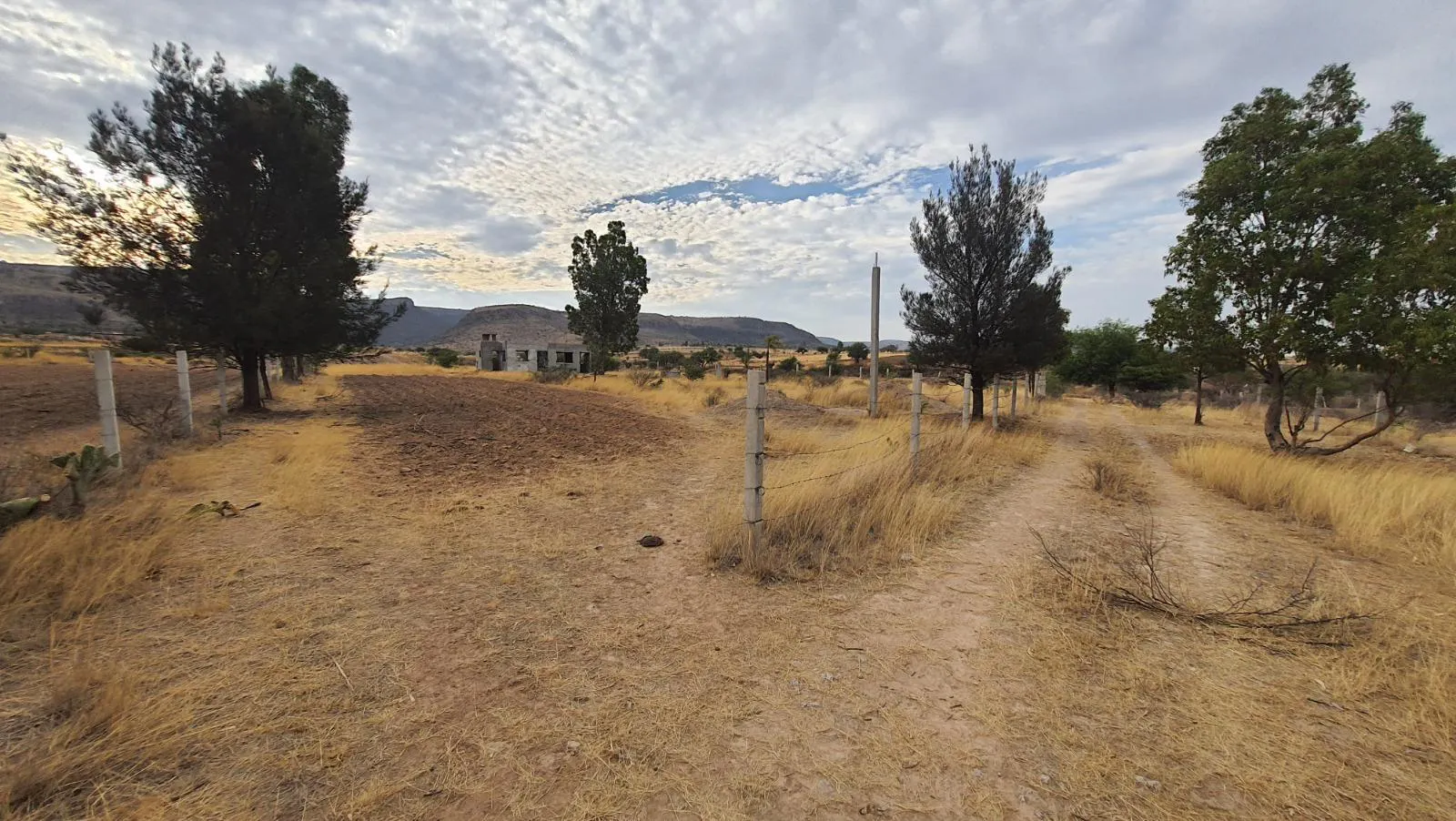 Terreno Spot2