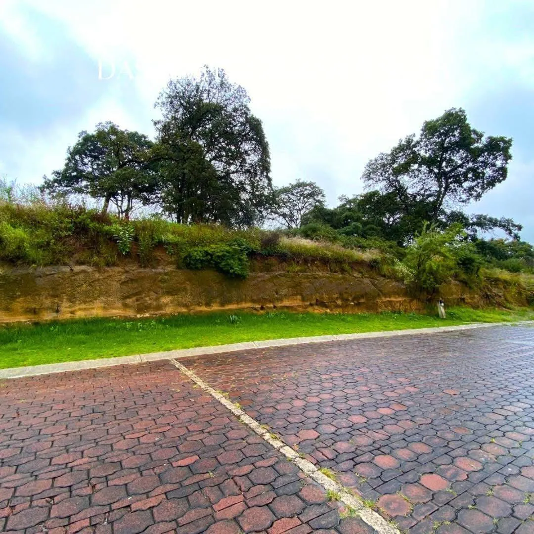 Terreno Spot2
