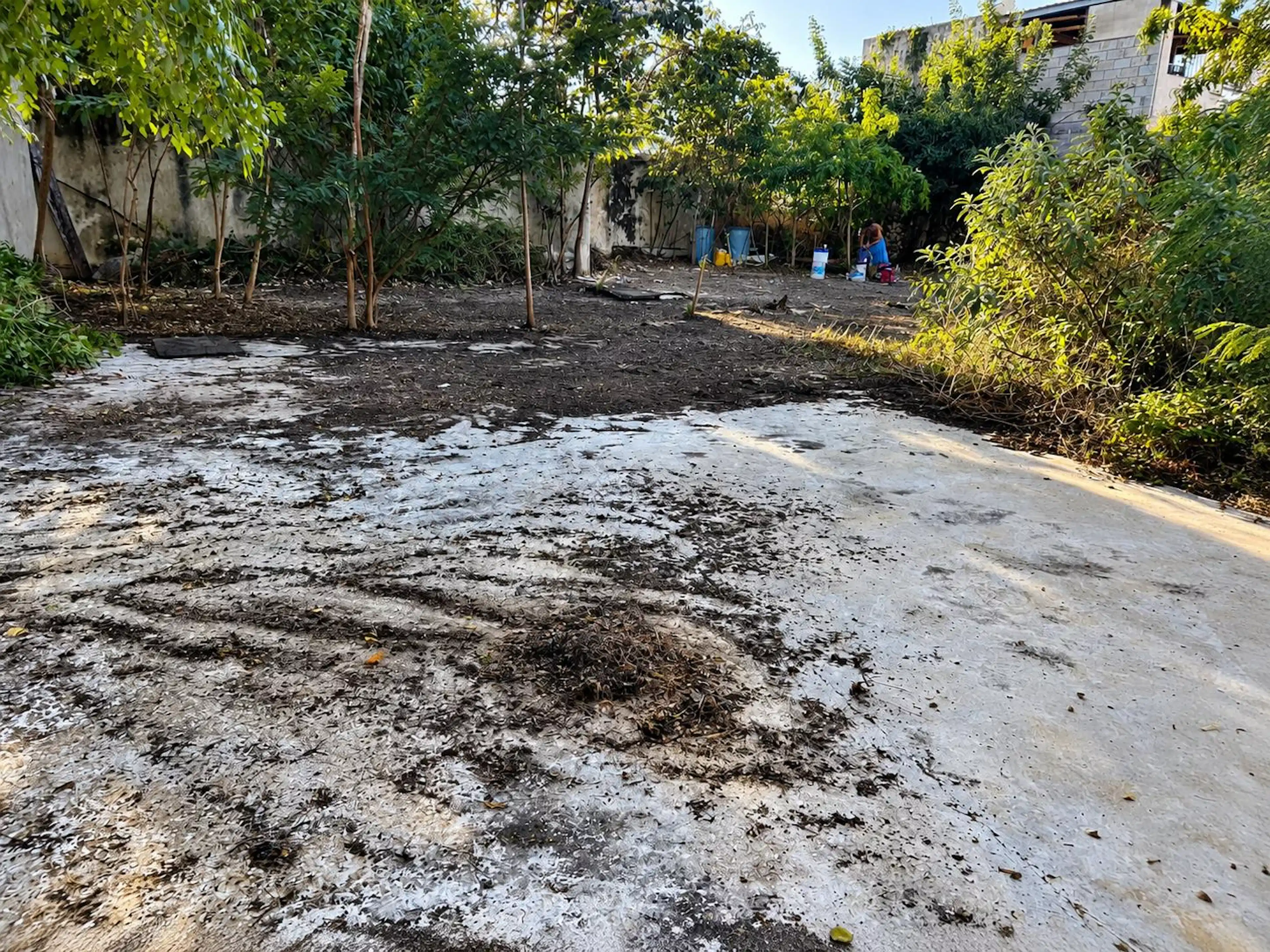 | Terreno comercial en renta en Colonia Yucatán |