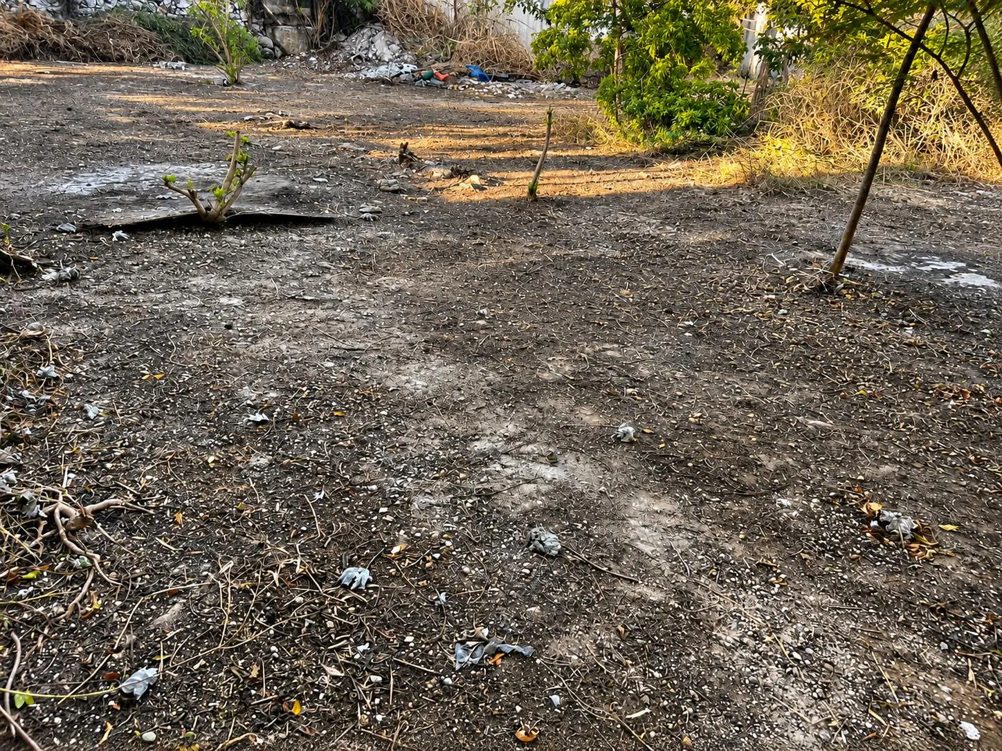 Terreno Spot2