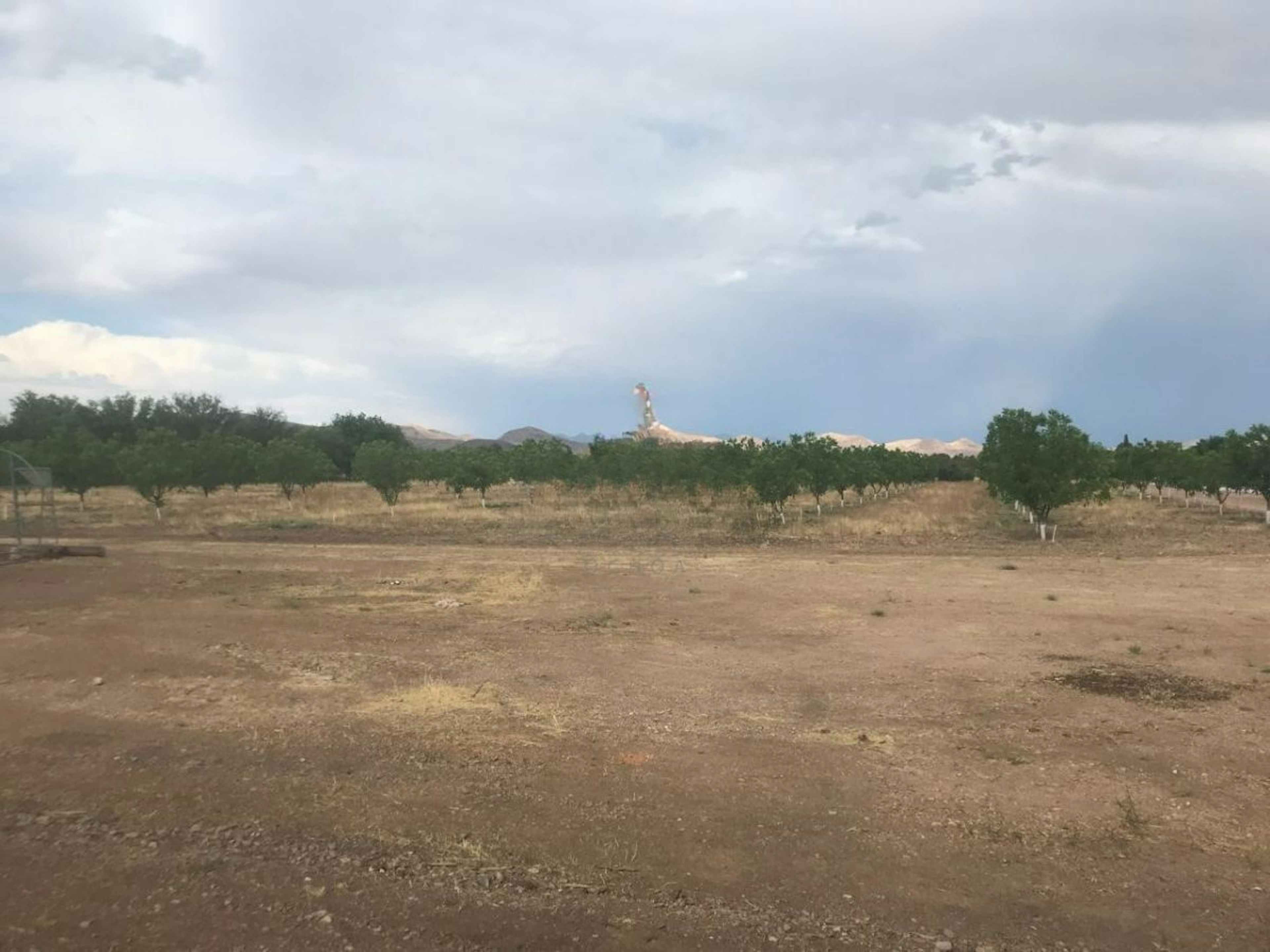 Periférico De La Juventud 4101