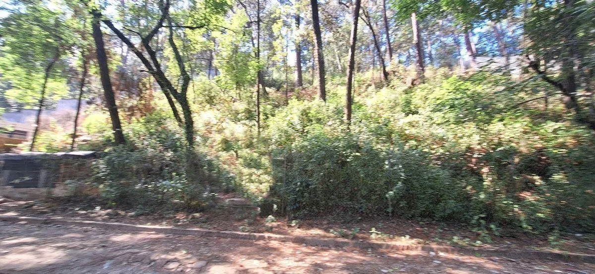 Terreno Spot2