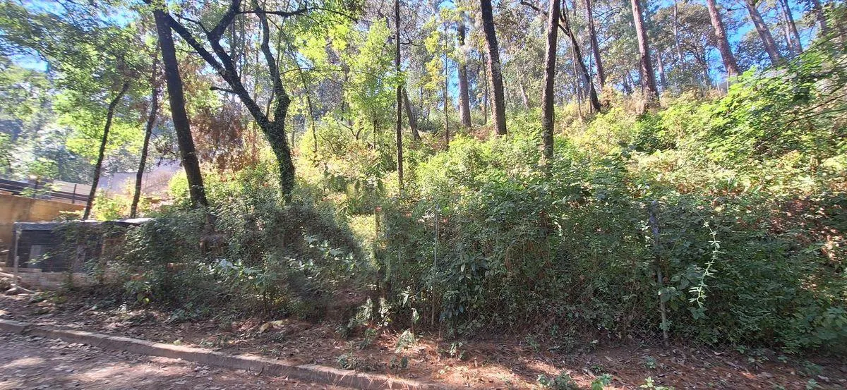 Terreno Spot2