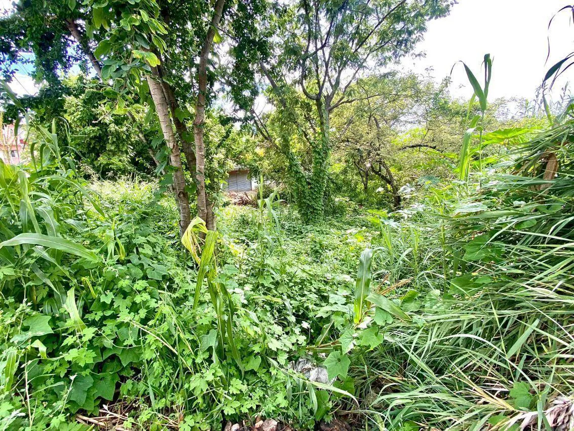 Terreno Spot2