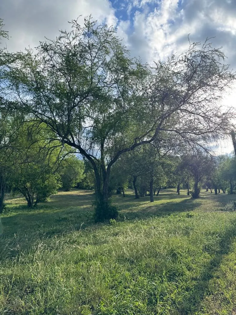 Terreno Spot2