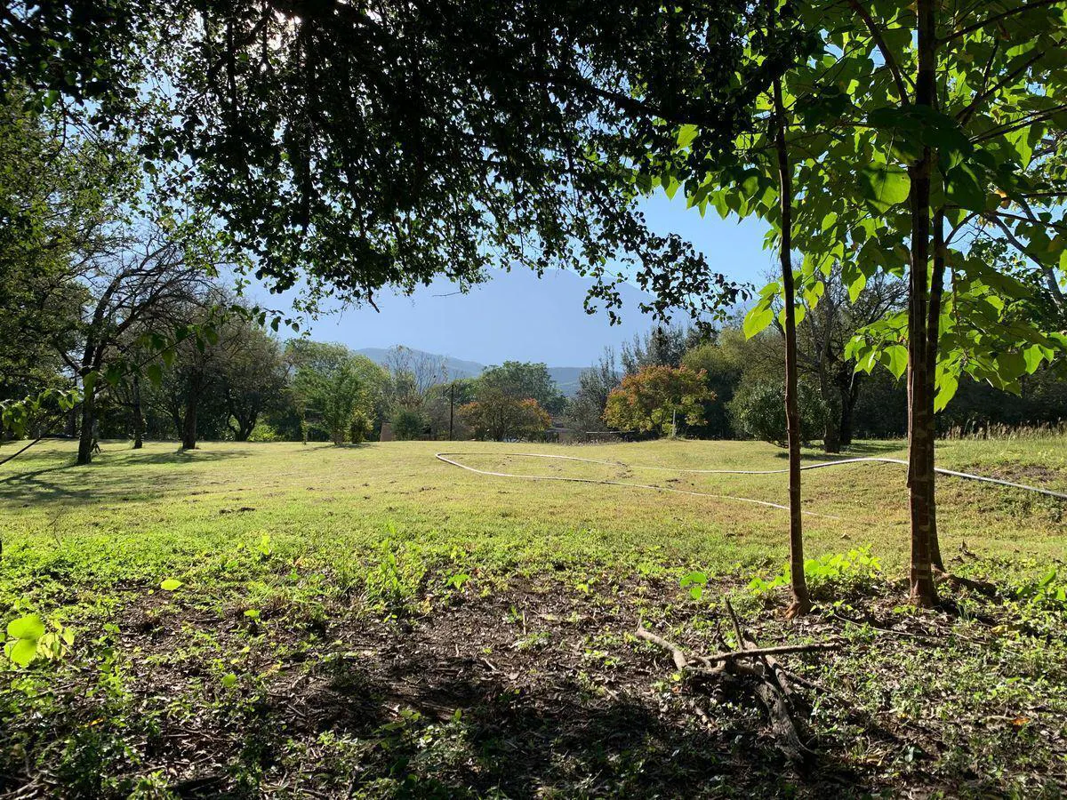 Terreno Spot2