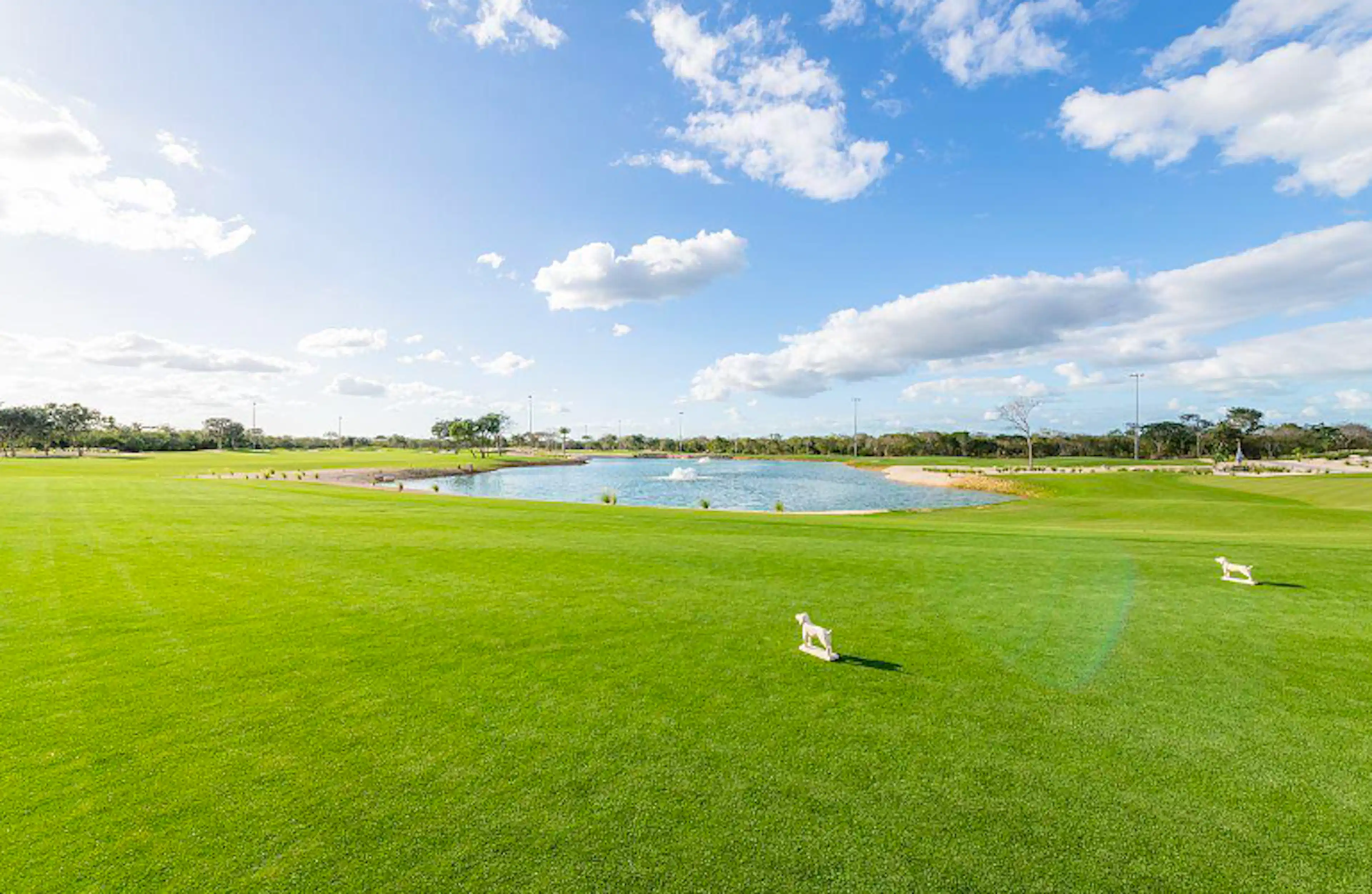 Terreno En Venta Merida, Tamanche, Privada Provincia, Con Campo De Golf, Listo.
