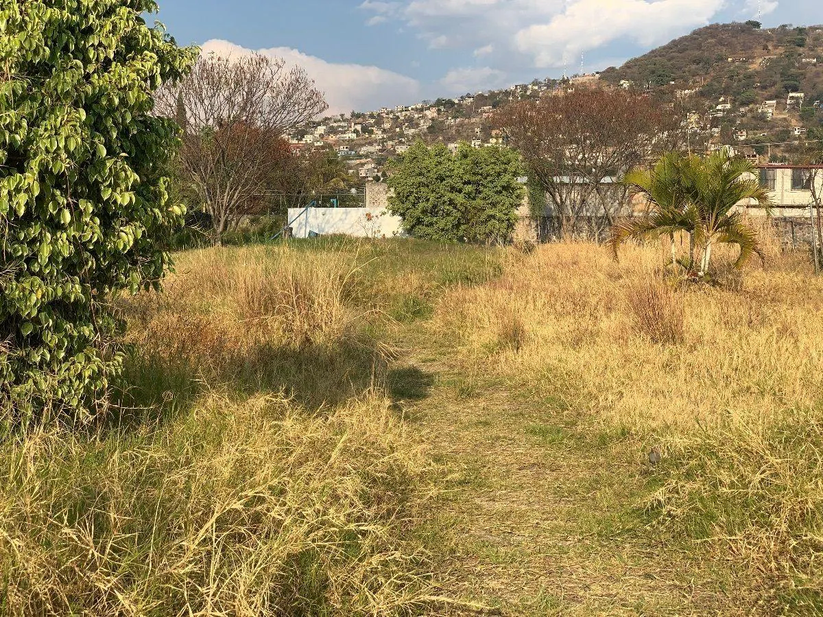 Terreno Spot2