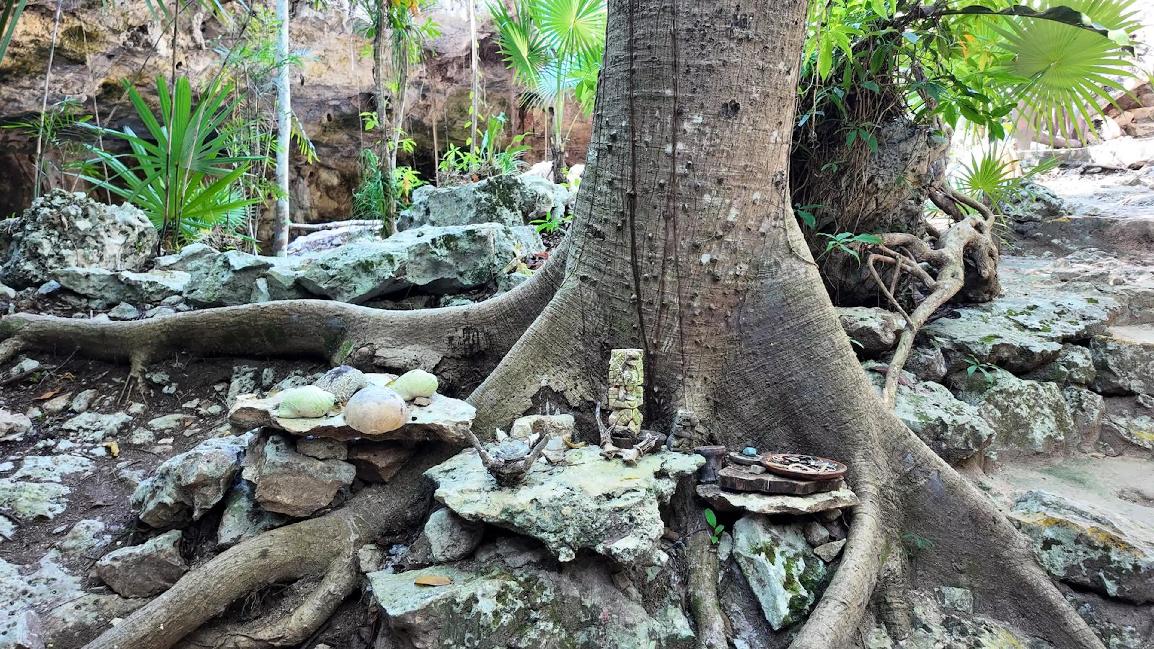 Terreno En Xpu-ha Riviera Maya