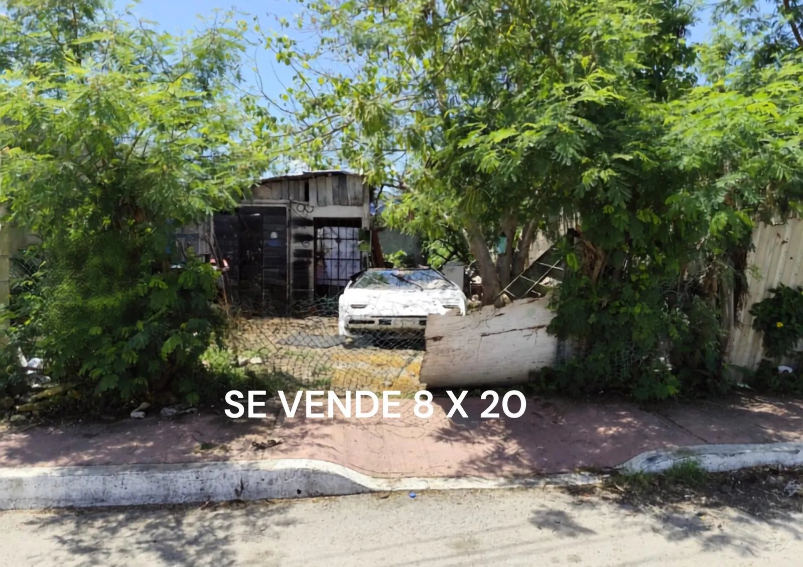 Terreno Spot2