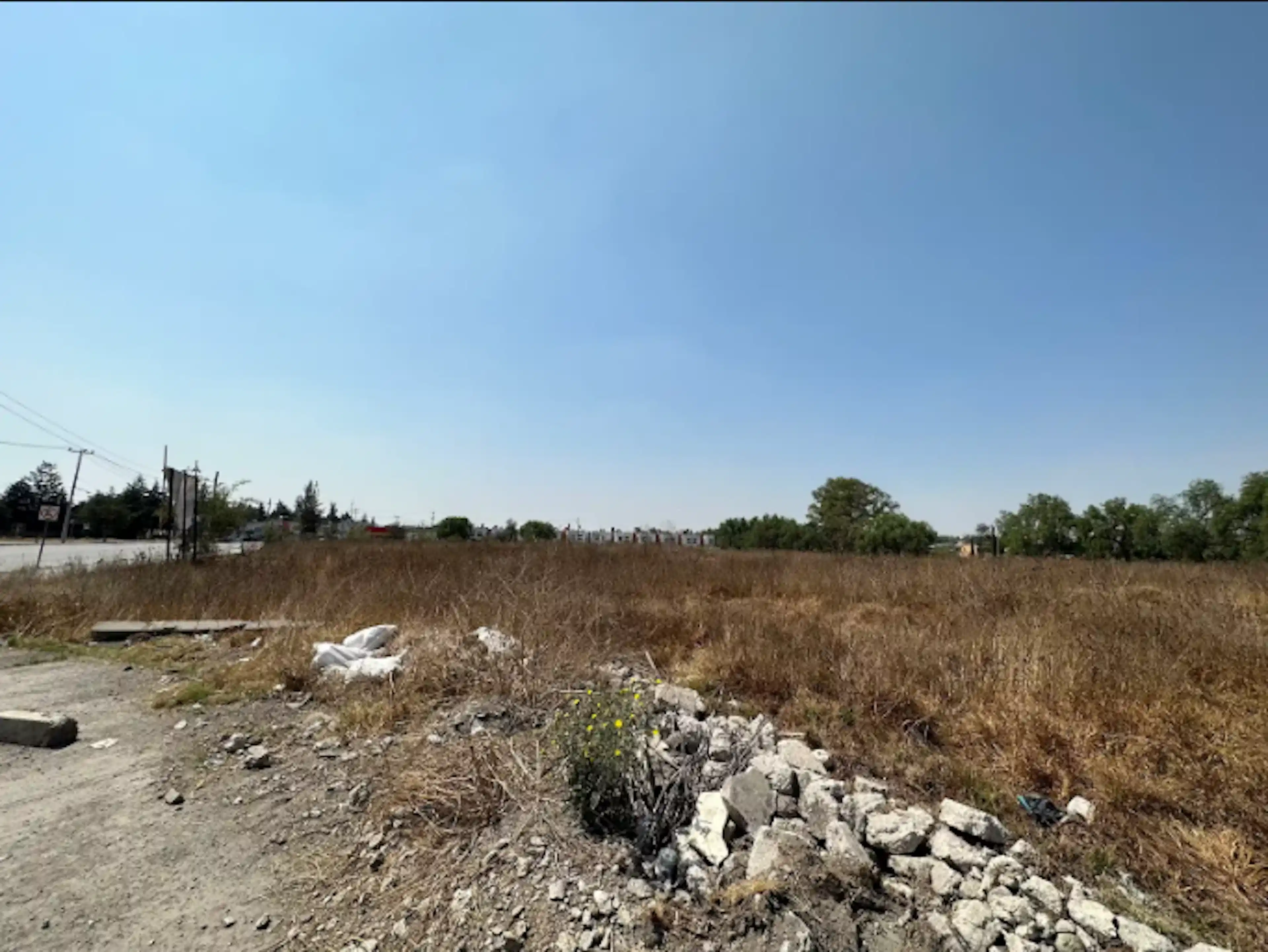 Lote 35