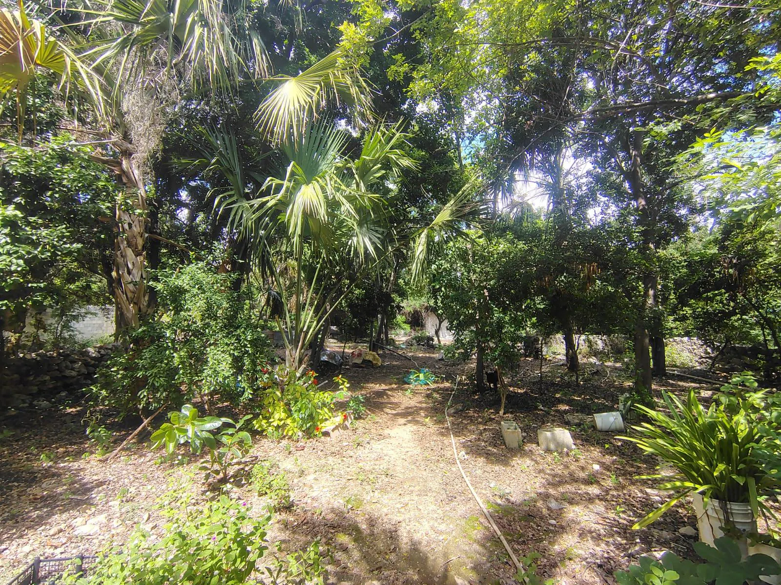 Terreno Spot2