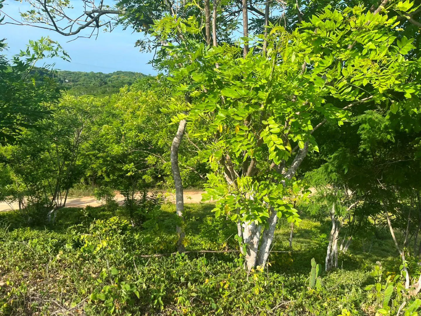 Terreno Spot2