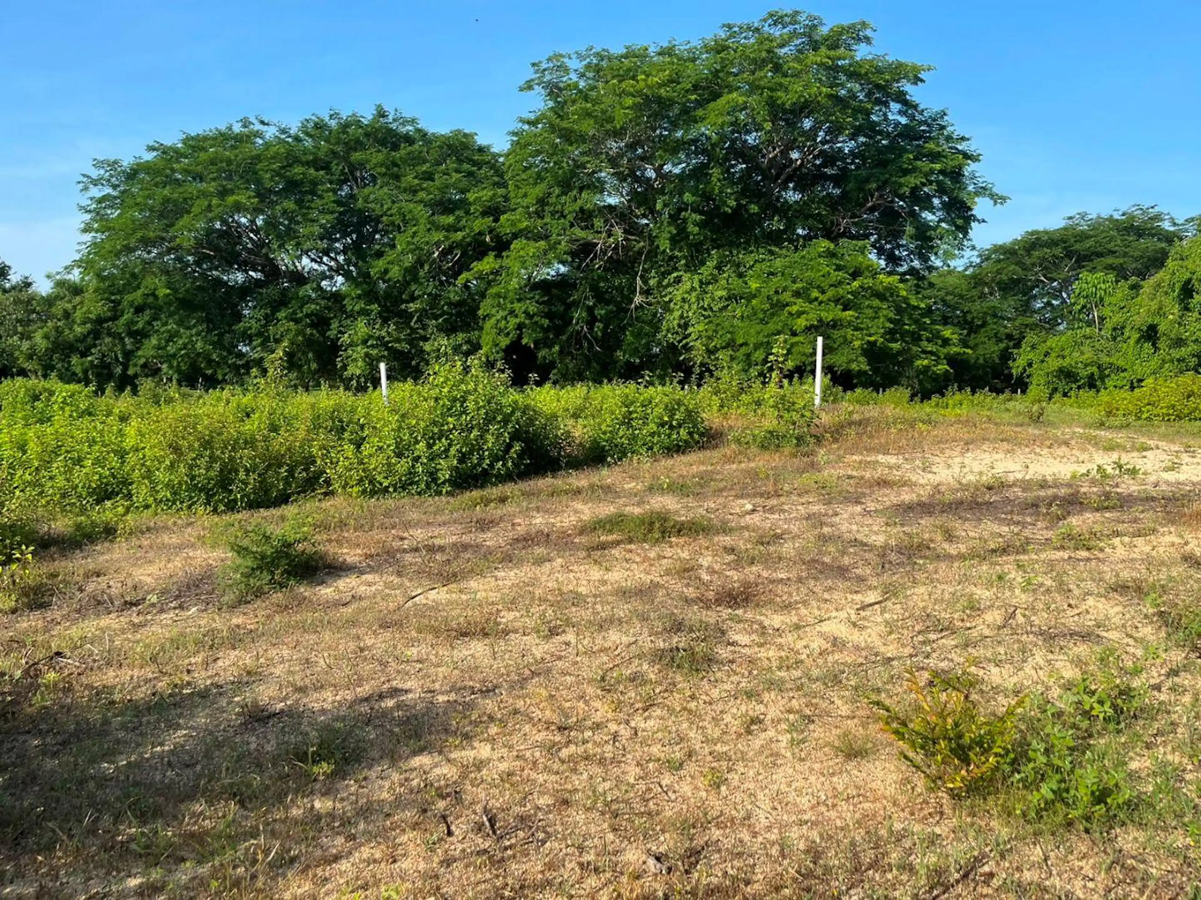 Campestre Xamaika