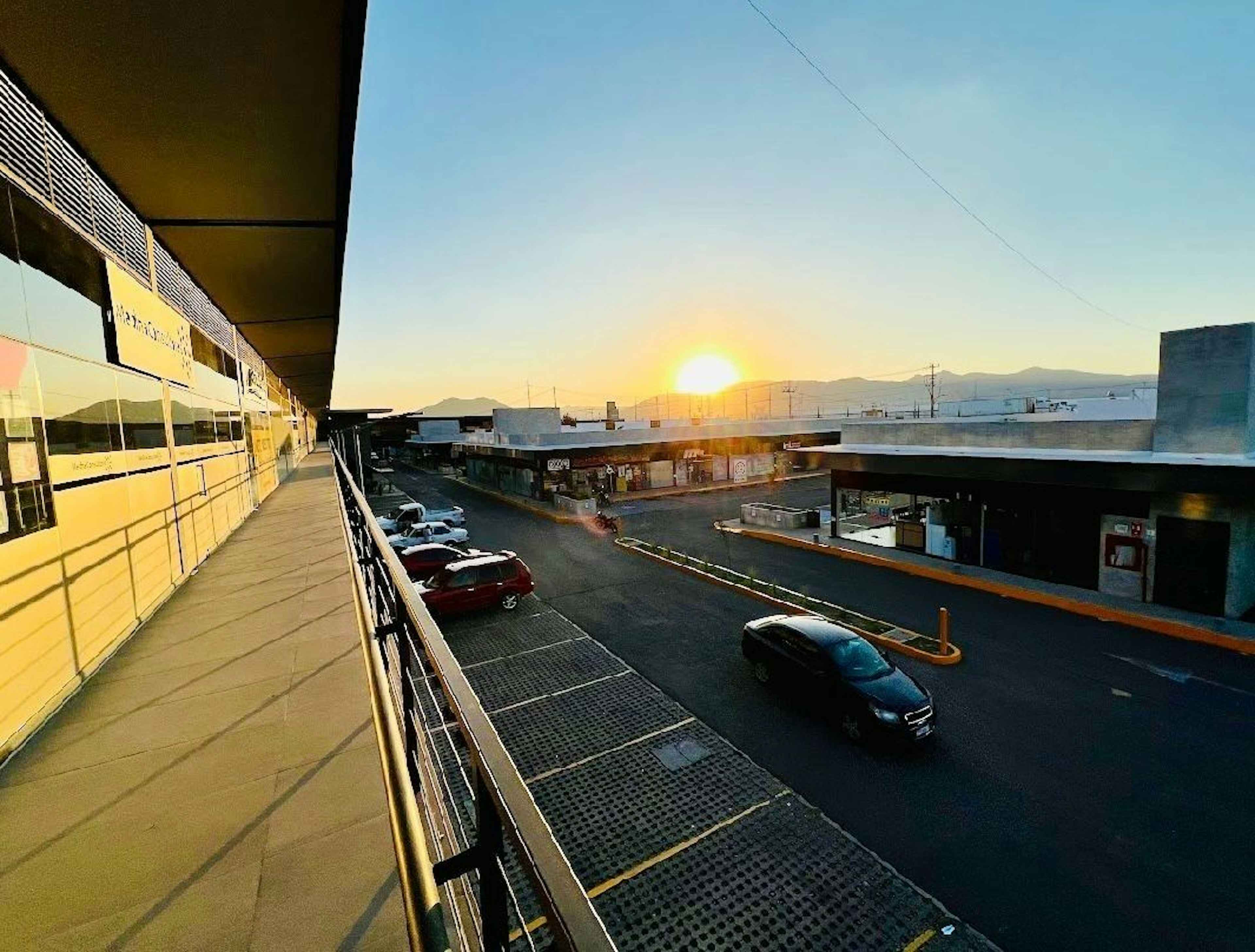 Local Comercial En Renta En Avenida Begonias