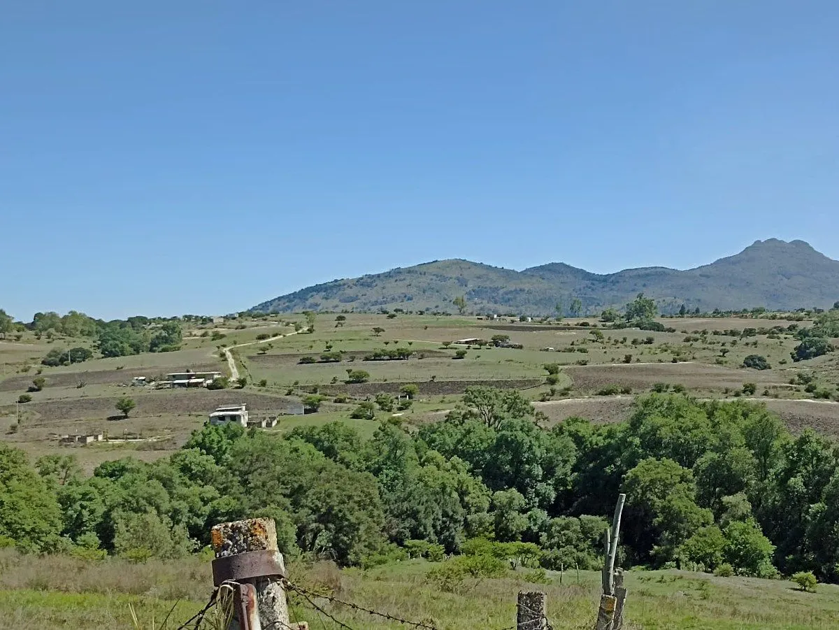 Terreno Spot2