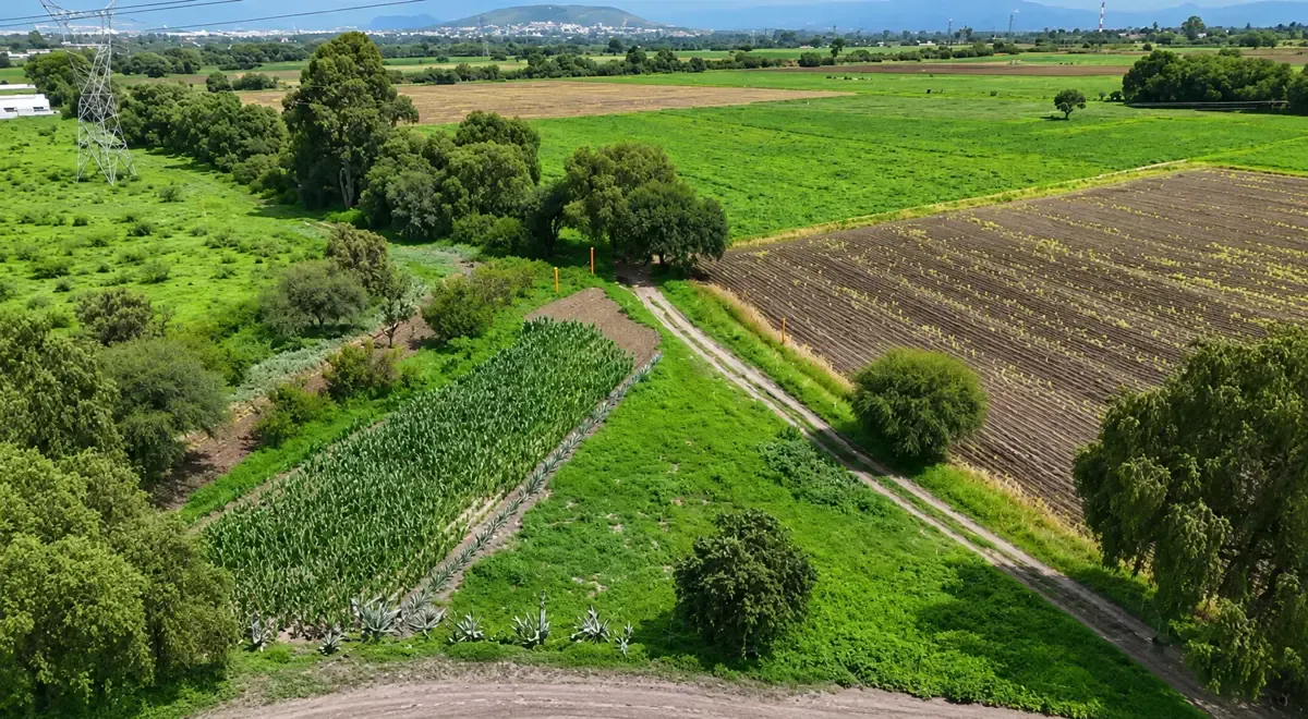 Terreno Spot2
