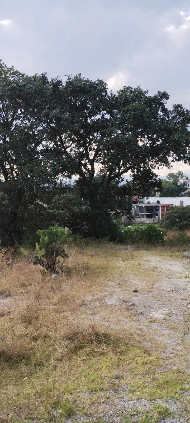 Terreno Spot2