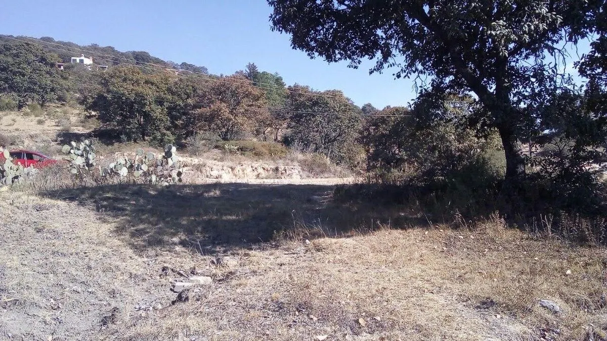 Terreno Spot2