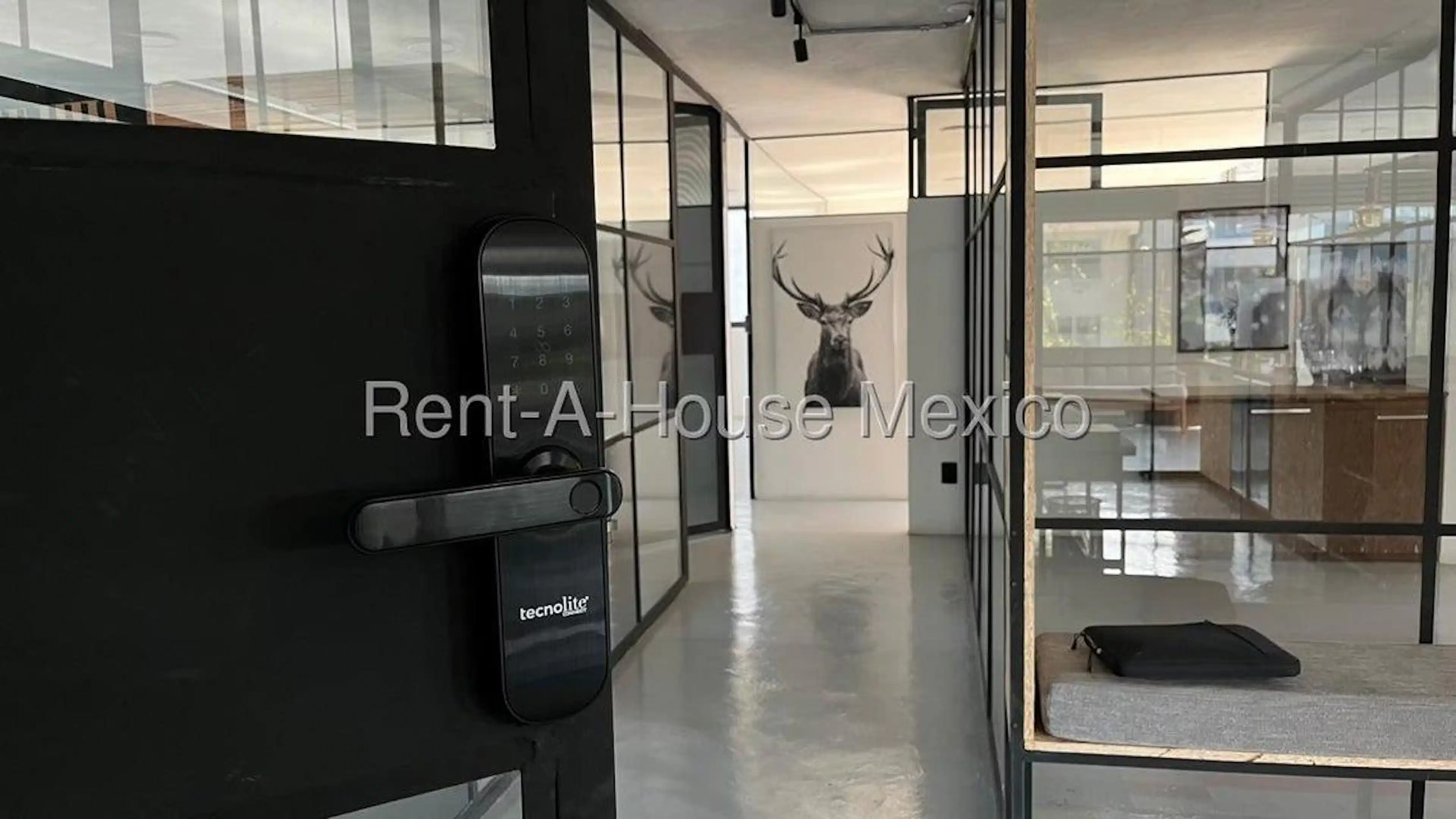 Coyoacan ,Insurgentes Cuicuilco S/N