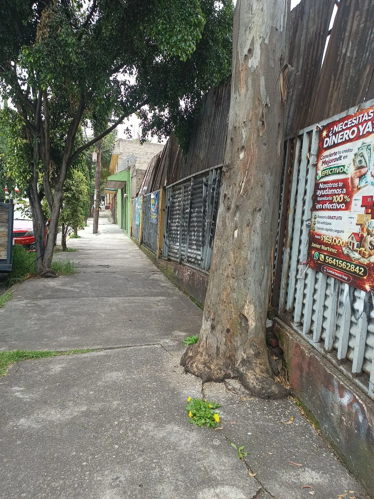 Terreno Spot2