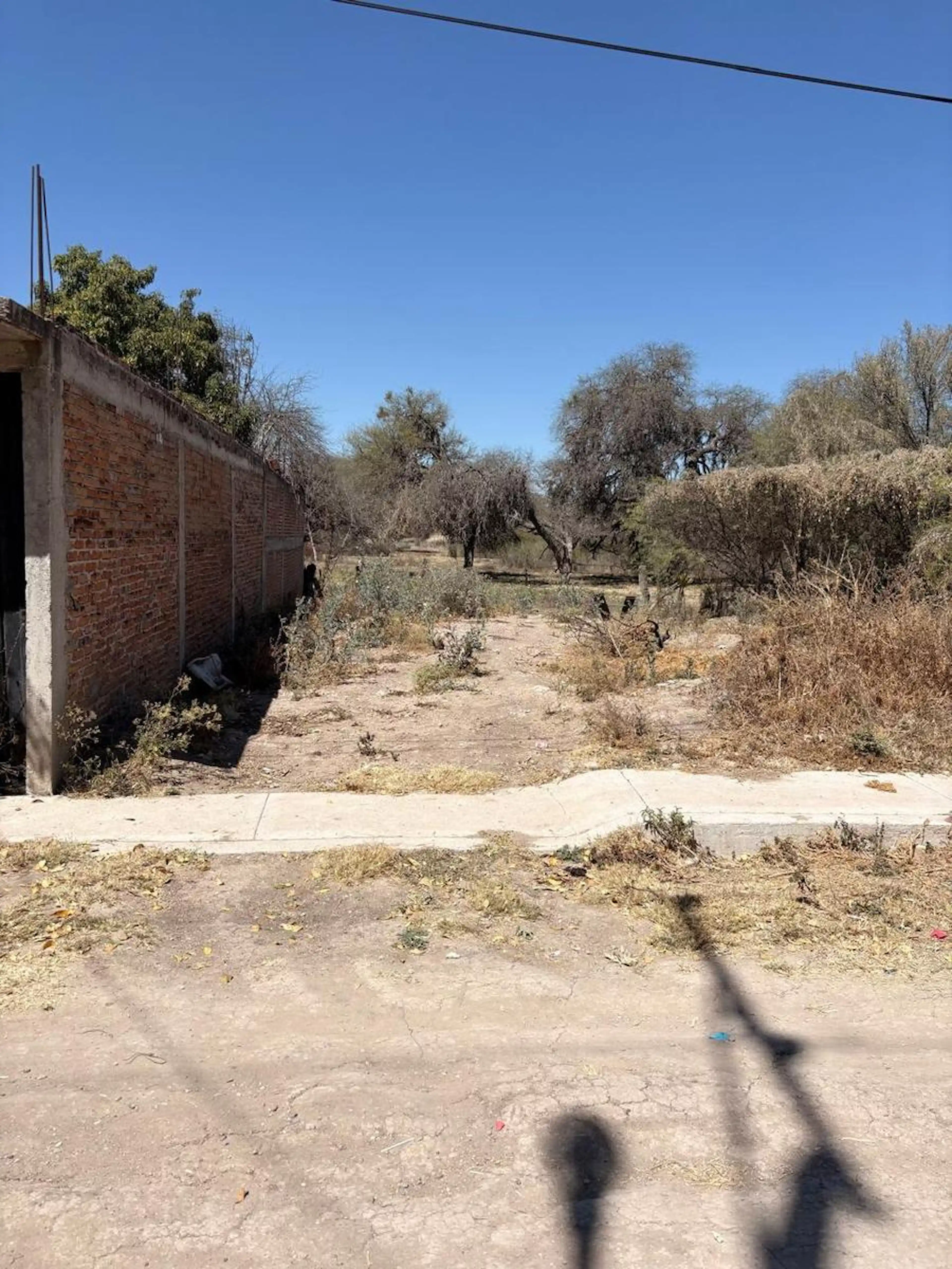 Terreno en Colonia Miguel Hidalgo