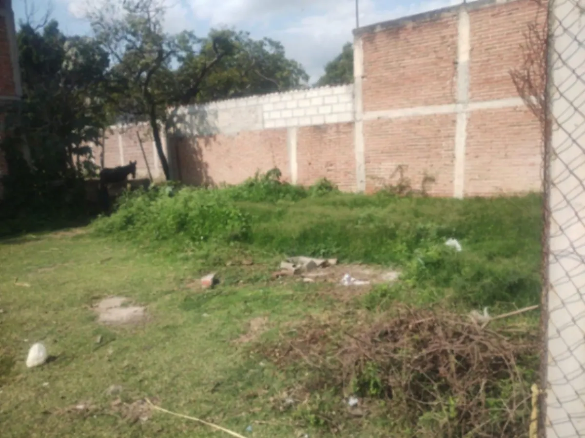Terreno Spot2