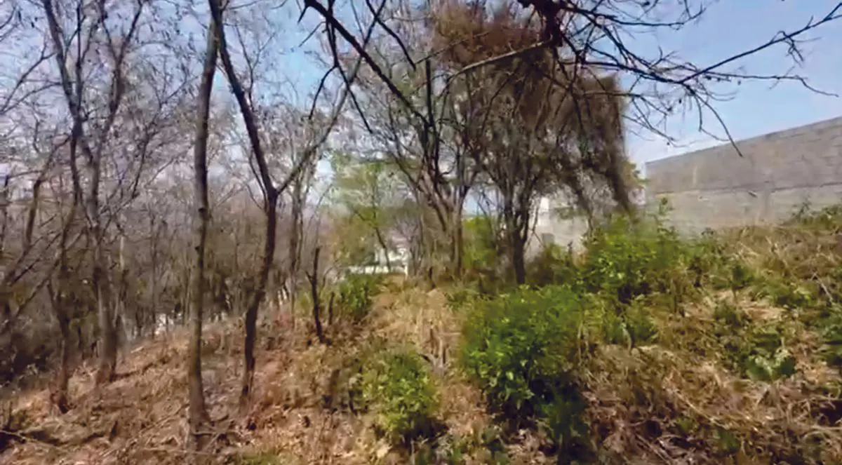 Terreno Spot2