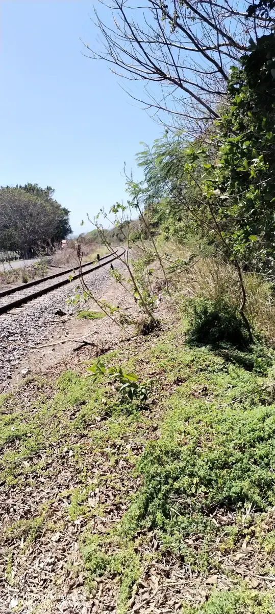 Terreno Spot2