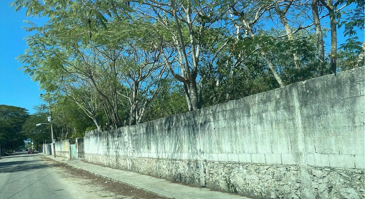 Terreno Spot2