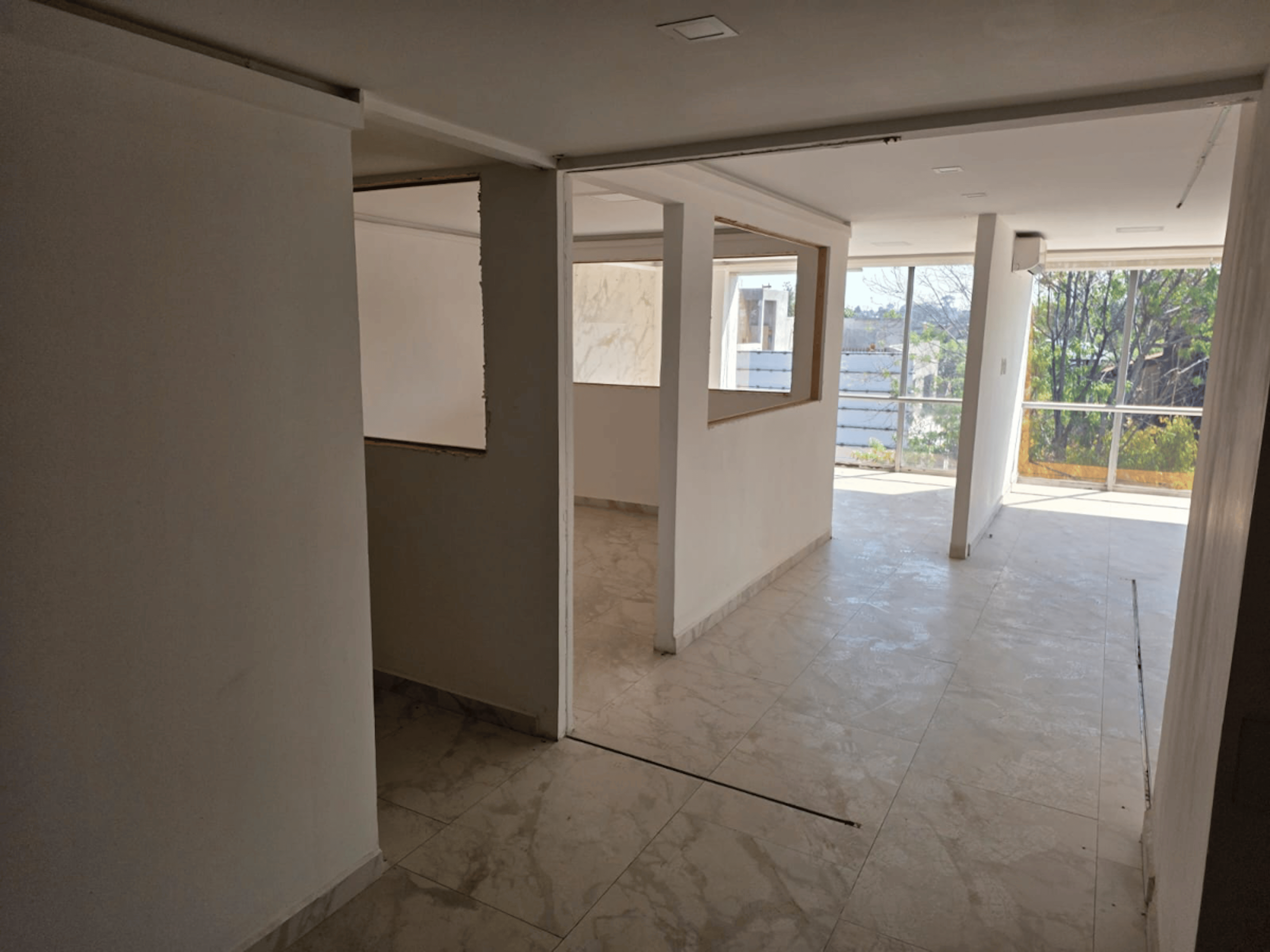 Bosque De Abetos 180