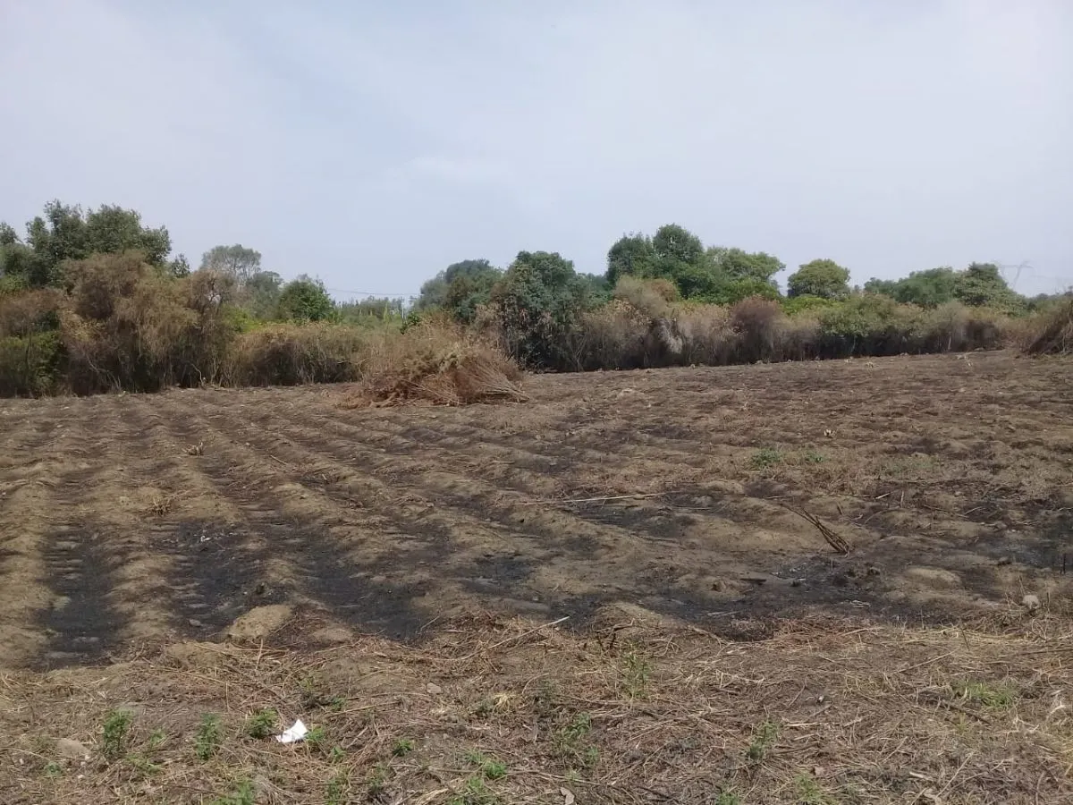 Terreno Spot2