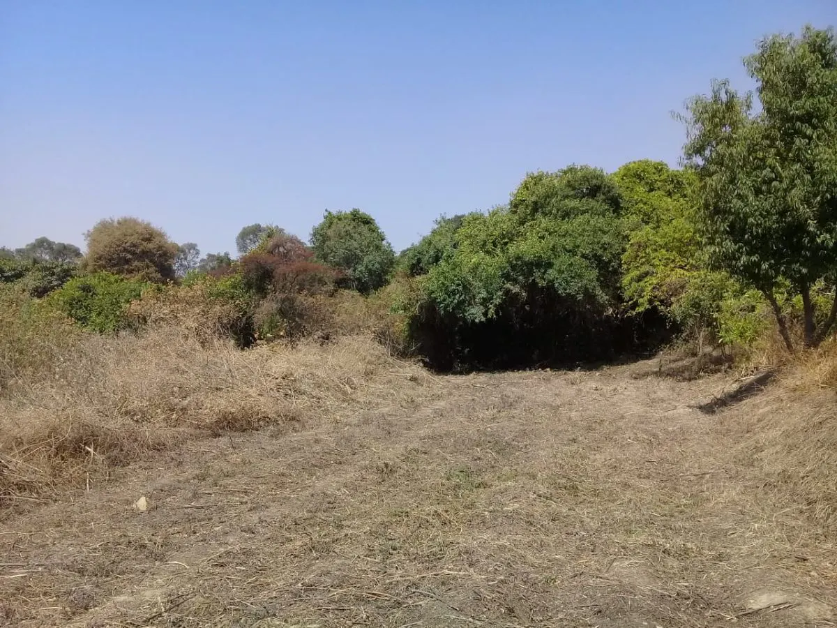 Terreno Spot2