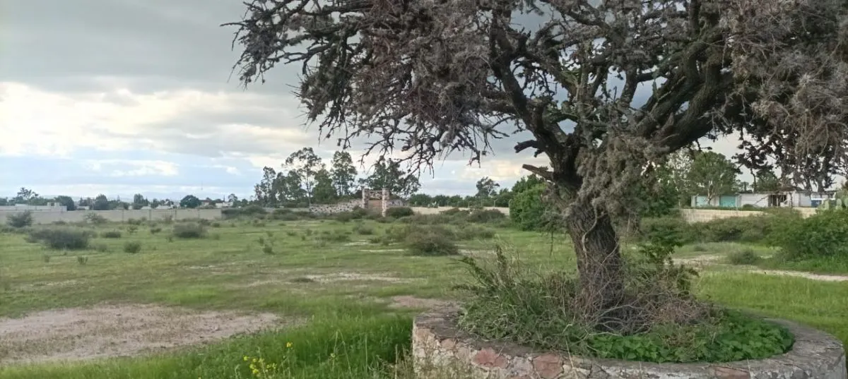 Terreno Spot2