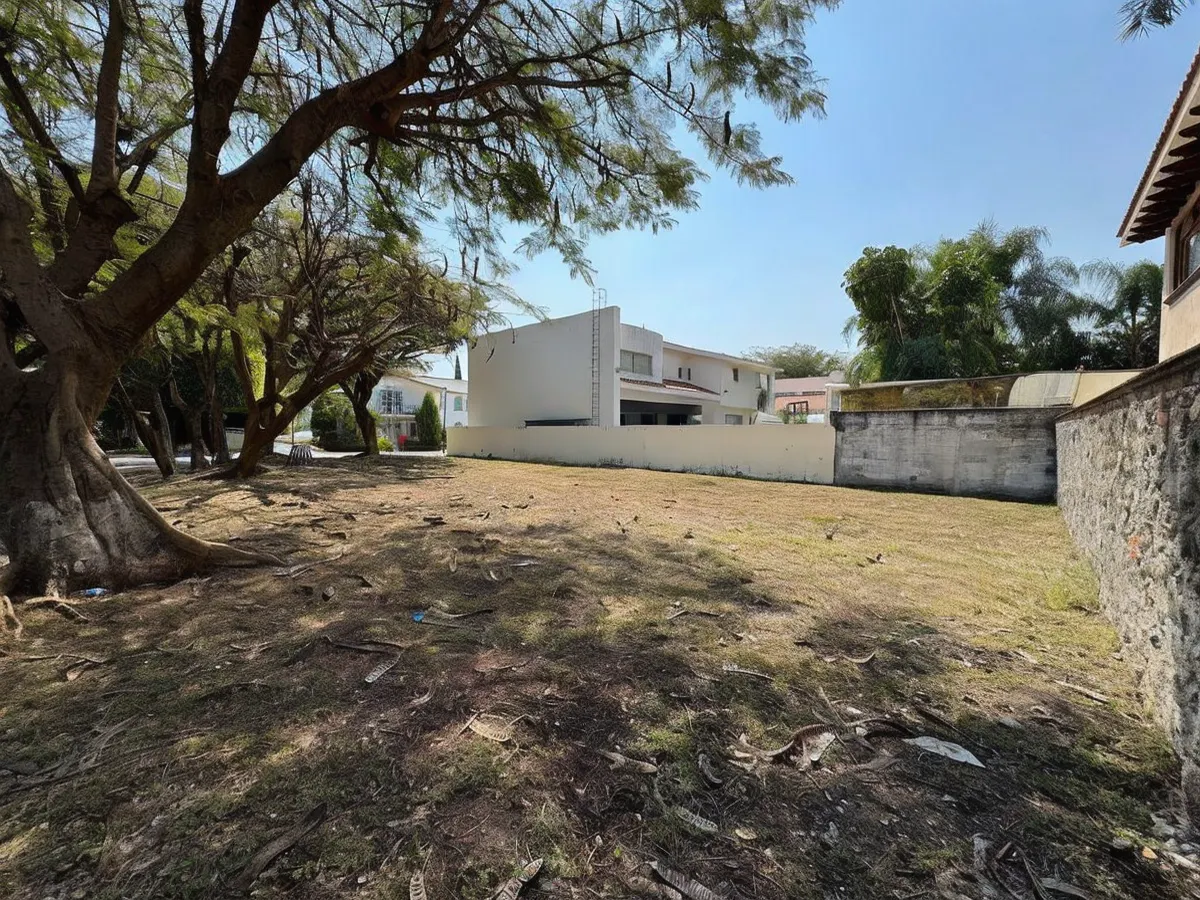 Terreno Spot2