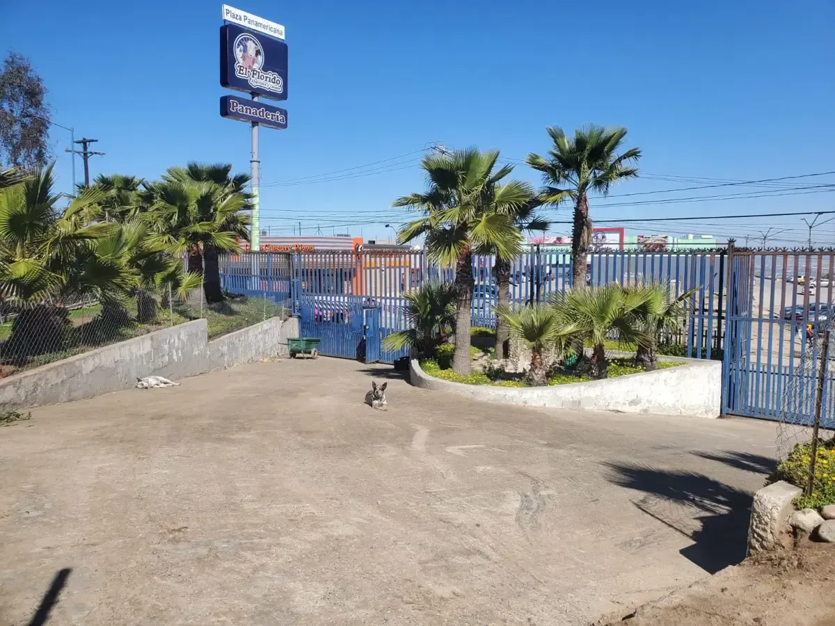 Terreno Spot2