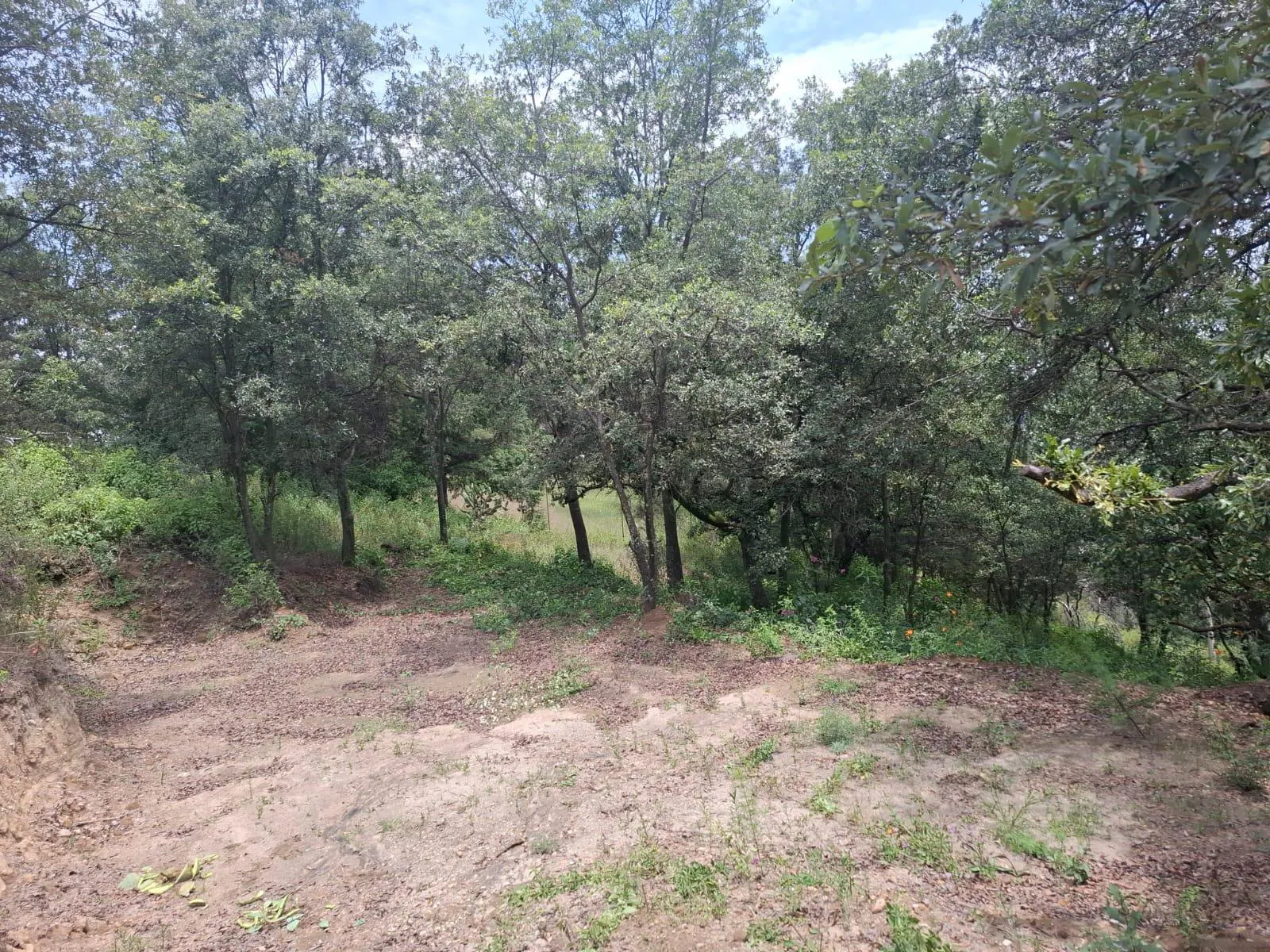 Terreno Spot2